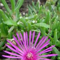 Picasa 3.0